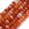 Natural Banded Agate Beads Strands G-Z111-A01-06-3