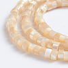 Natural Trochid Shell/Trochus Shell Beads Strands X-SSHEL-L016-13B-2