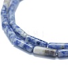Natural Blue Spot Jasper Beads Strands G-F631-D11-3