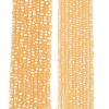 Transparent Glass Beads Strands LS-EGLA-A044-T2mm-MB03-2