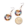 Gemstone Dangle Earrings EJEW-JE04906-01-4