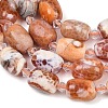 Natural Fire Crackle Agate Beads Strands G-K393-G01-10x14-4