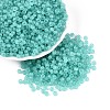 6/0 Transparent Inside Colours Glass Seed Beads SEED-N008-08G-1
