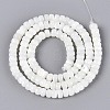 Natural Trochid Shell/Trochus Shell Beads Strands BSHE-T014-54A-2