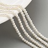 Natural Cultured Freshwater Pearl Beads Strands PEAR-C003-04B-2
