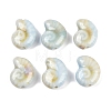 Handmade Porcelain Beads PORC-R003-02D-1