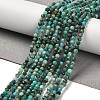 Natural Chrysocolla Beads Strands G-K373-B06-03-1