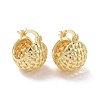 Rack Plating Brass Basket Hoop Earrings for Women EJEW-G315-09G-1