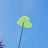 Acrylic Garden Stake AJEW-FH0005-23-5