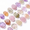 Natural Gemstone Beads Strands G-P434-27-2