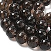 Natural Smoky Quartz Beads Strands G-C265-A01-10mm-01-4
