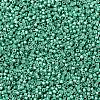 MIYUKI Delica Beads SEED-X0054-DB1182-4