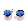 Golden Tone Brass Glass Charms X-GLAA-ZX008-24C-G-2