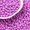 6/0 Glass Seed Beads X1-SEED-L011-08A-26-1