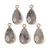 Natural Labradorite Faceted Pendants G-Q606-104G-04-1