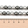 Baking Painted Pearlized Glass Pearl Round Bead Strands PEAR-H019-02C-05-2