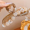 Resin & Rhinestone Claw Hair Clips PHAR-Z008-01C-1