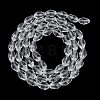 Transparent Glass Beads Strands EGLA-N013-T4mm-D01-2