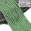 Eco-Friendly Dyed Glass Pearl Round Beads Strands HY-A002-4mm-RB008N-4