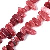 Dyed Natural Quartz Beads Strands G-Q606-24A-09-1