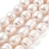 Natural Cultured Freshwater Pearl Beads Strands PEAR-P062-11A-1