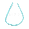 Handmade Lampwork Beads Strands LAMP-Q037-02B-09-2