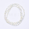 Electroplate Transparent Glass Beads Strands EGLA-E046-D06-2