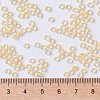 MIYUKI Round Rocailles Beads SEED-G008-RR0202-4