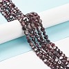 Natural Garnet Beads Strands X-G-L478-52-2