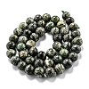 Natural Green Zebra Jasper Beads Strands G-L574-05B-2
