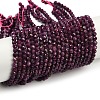 Natural Ruby Beads Strands G-C181-B06-03-2