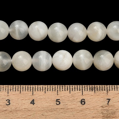 Natural White Moonstone Beads Strands G-L664-A01-8mm-1