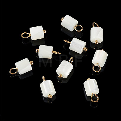 10Pcs Natural Shell Column Charms SHEL-TA0001-38-1