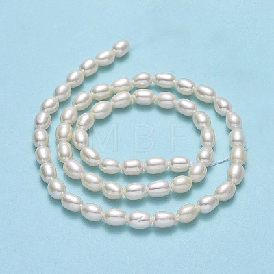 Natural Cultured Freshwater Pearl Beads Strands PEAR-J006-20B-01-1