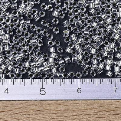 MIYUKI Delica Beads Small SEED-X0054-DBS0041-1