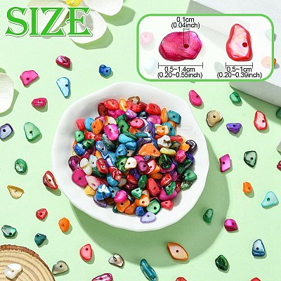 1 Strand Natural Chip Dyed Shell Beads Strands G-FS0005-77-1