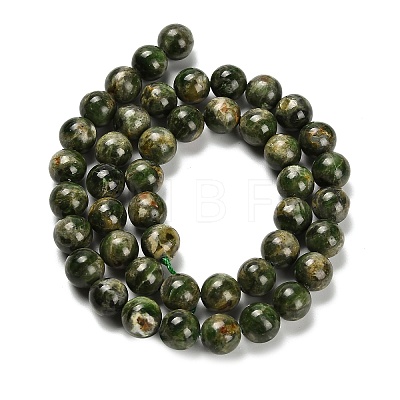 Natural Diopside Beads Strands G-R006-A01-02-1