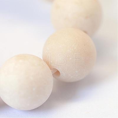 Frosted Natural Fossil Round Bead Strands G-E334-6mm-22-1