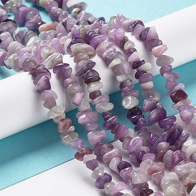 Natural Lepidolite/Purple Mica Stone Beads Strands X-G-P497-03A-06-1