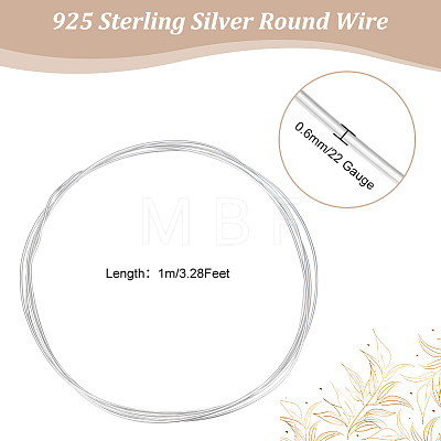 1M 925 Sterling Silver Wire STER-BBC0002-13-1