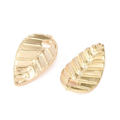 Brass Charms KK-H739-06G-1