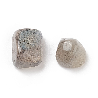 Natural Labradorite Beads G-I304-08-1