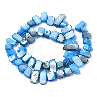 Natural Trochid Shell/Trochus Shell Beads Strands SHEL-S258-082-1