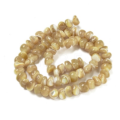 Natural Trochus Shell Beads Strands BSHE-G039-01A-1