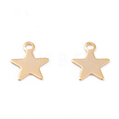 201 Stainless Steel Charms STAS-B001-14B-G-1