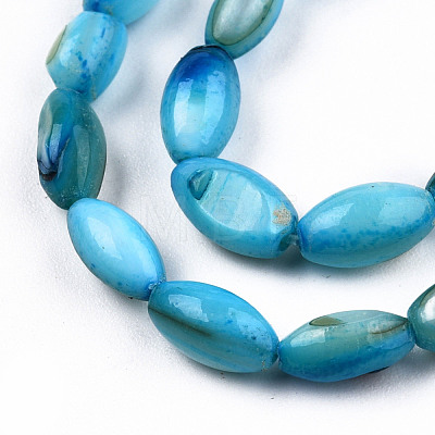 Natural Freshwater Shell Beads Strands SHEL-N026-212-B02-1