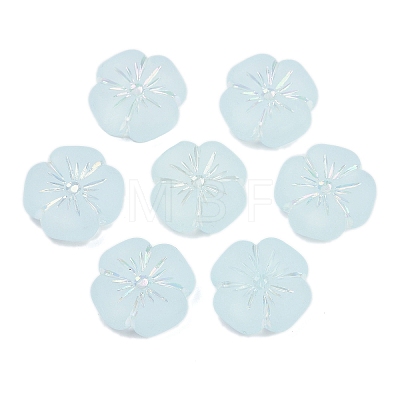 Frosted Transparent Acrylic Beads LS-OACR-P029-19B-06-1