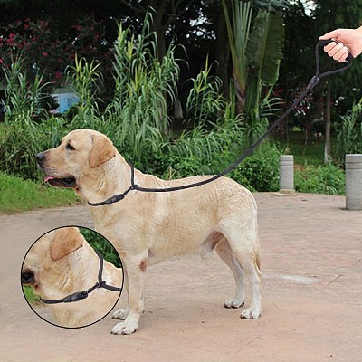 Nylon Dog Leash Slip Rope AJEW-WH0016-83A-1