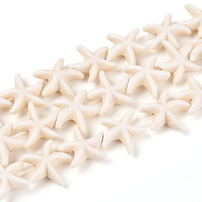 Gemstone Beads Strands X-TURQ-S210-1-1