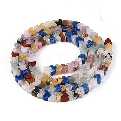 Natural Mixed Gemstone Beads Strands G-T143-32-1